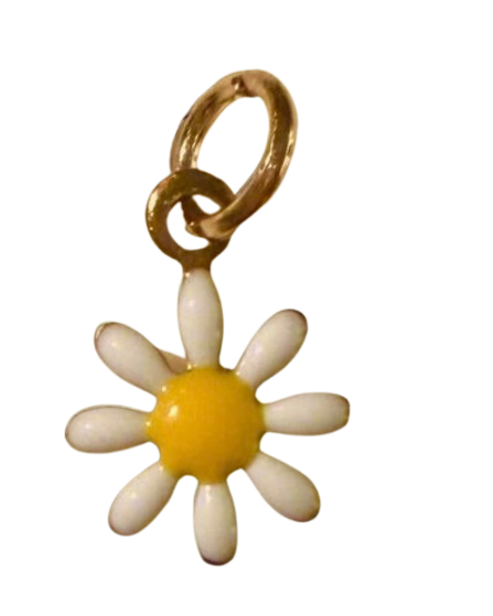 Gold Daisy Days are Coming - XS