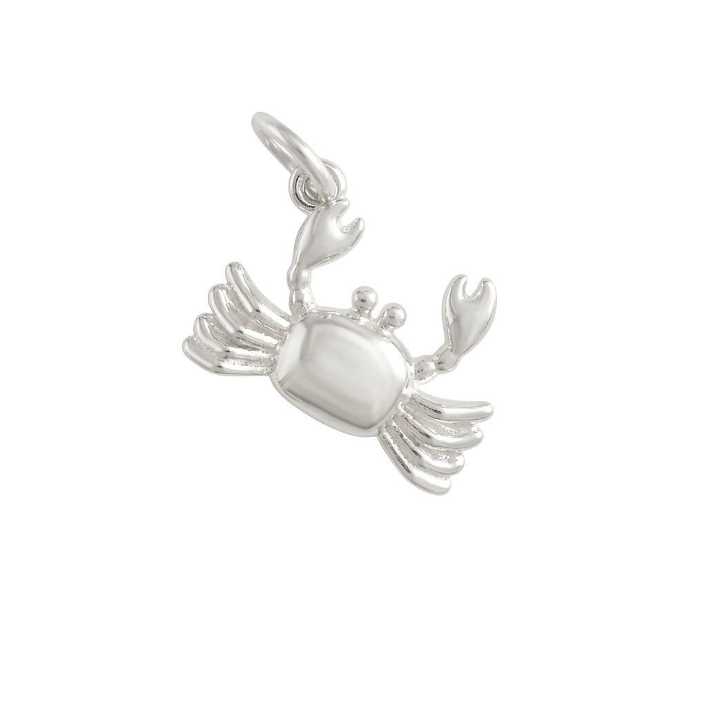 Silver Coastal Soul charm