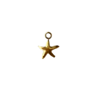 Teeny Tiny Star