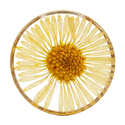 Dried Daisy charm