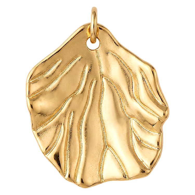 Large Shell charm