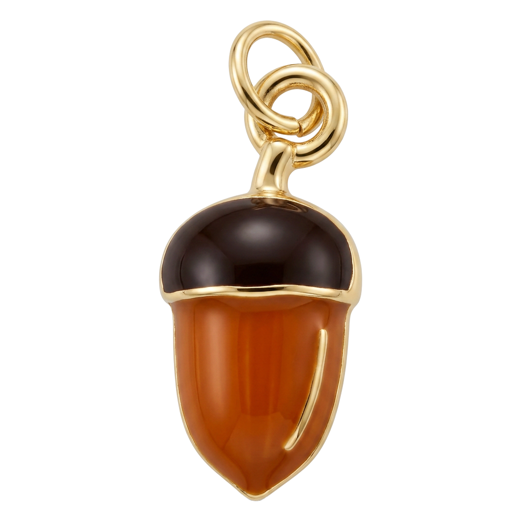 Acorn Adventures