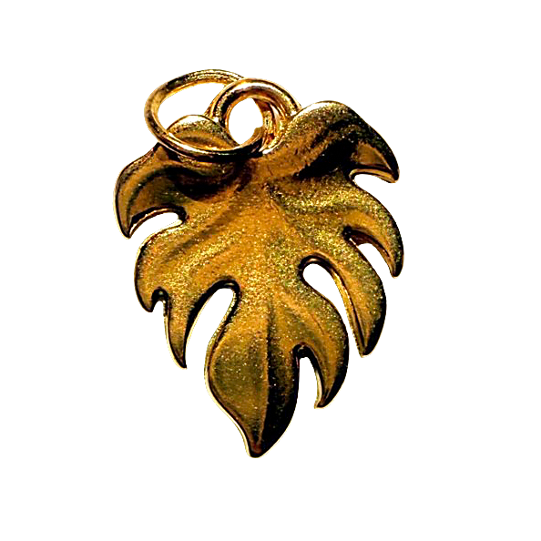 Gold Fresh Start - XL
