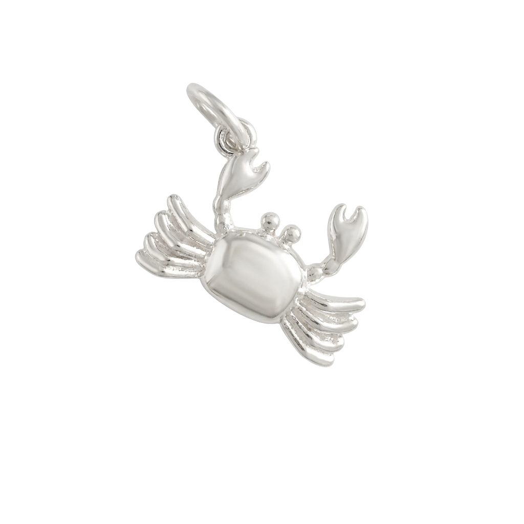 Silver Coastal Soul charm
