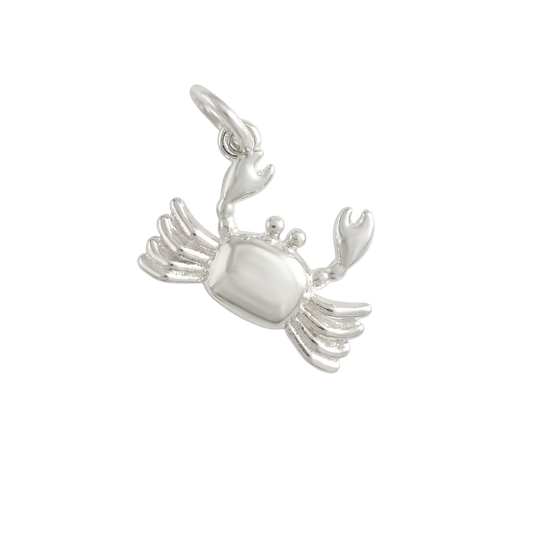 Silver Coastal Soul charm