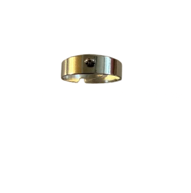 SS Thick Adjustable Silver Ring