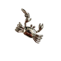 Silver Coastal Soul - L