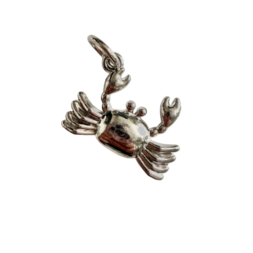 Silver Coastal Soul - L