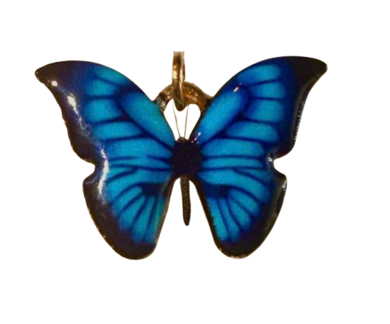 Blue Flutter Wings - XL