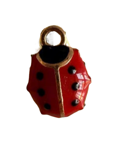 Lucky Ladybug - S