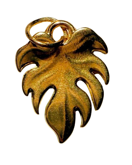 Gold Fresh Start - XL