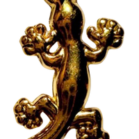 Gold Sun Seeker - XL