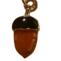 Acorn Adventures - S