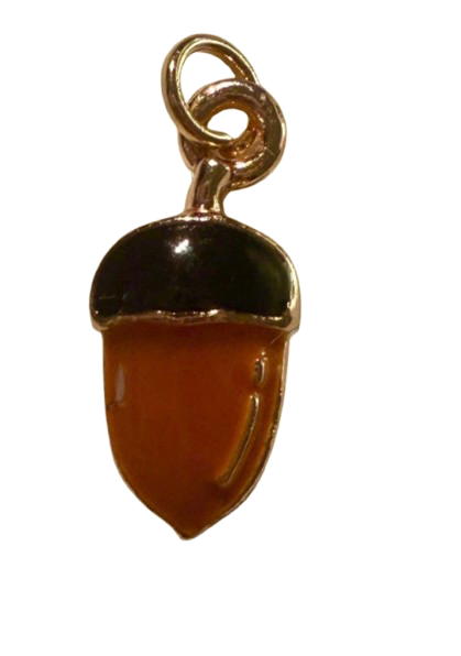 Acorn Adventures - S