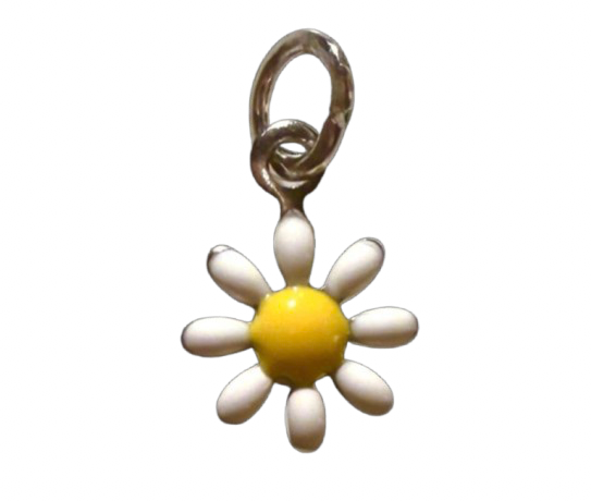 Silver Daisy Days are Coming - XS