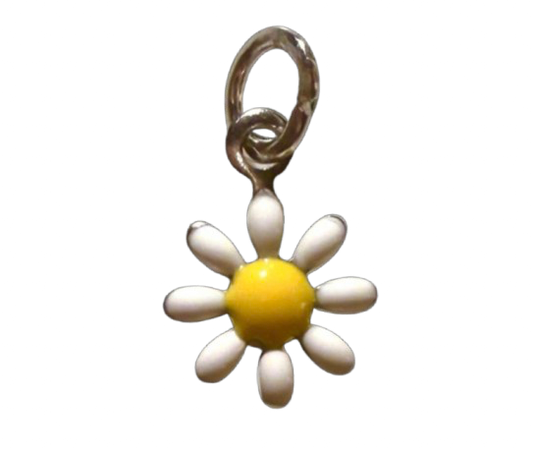 Silver Daisy Days are Coming - XS