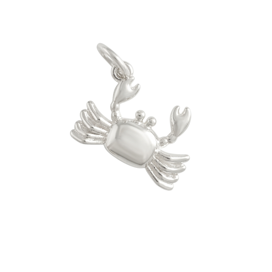 Silver Coastal Soul charm