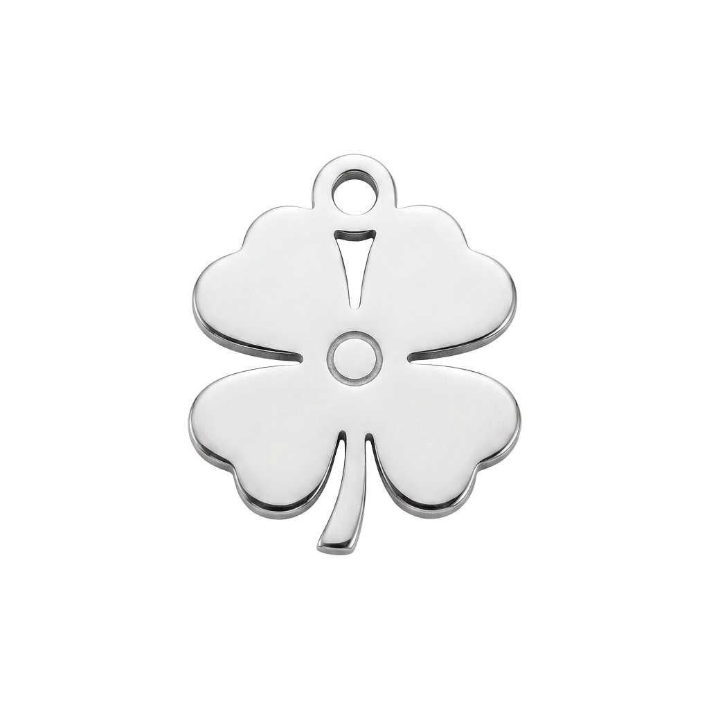 Silver Lucky Charm charm